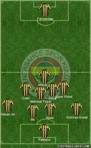Fenerbahçe SK Formation 2015