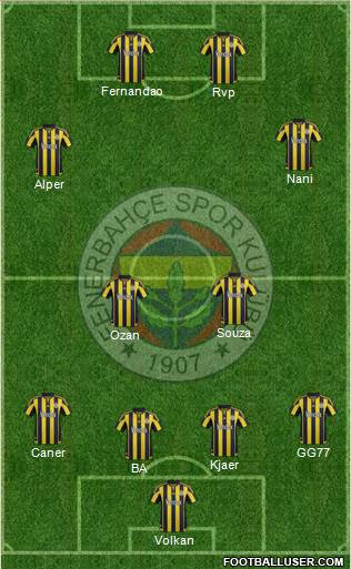 Fenerbahçe SK Formation 2015