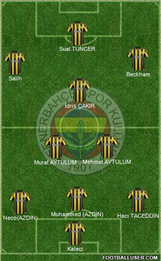 Fenerbahçe SK Formation 2015