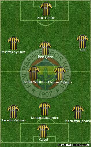 Fenerbahçe SK Formation 2015