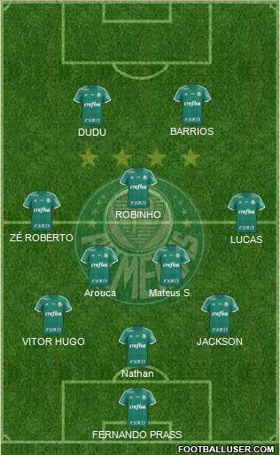 SE Palmeiras Formation 2015