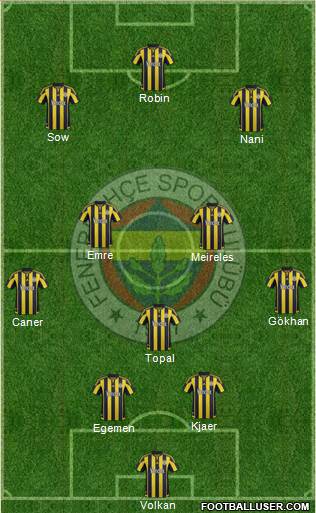 Fenerbahçe SK Formation 2015