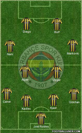 Fenerbahçe SK Formation 2015