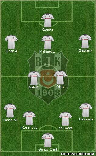 Besiktas JK Formation 2015