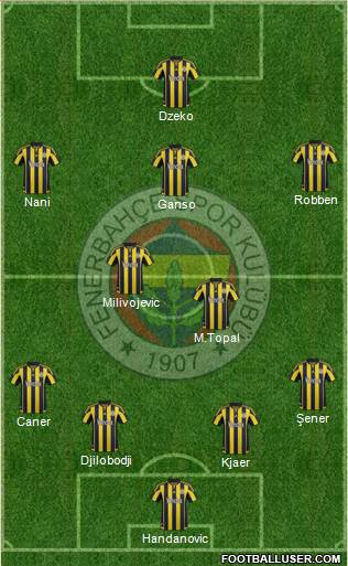 Fenerbahçe SK Formation 2015