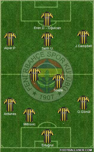 Fenerbahçe SK Formation 2015