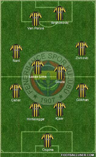 Fenerbahçe SK Formation 2015