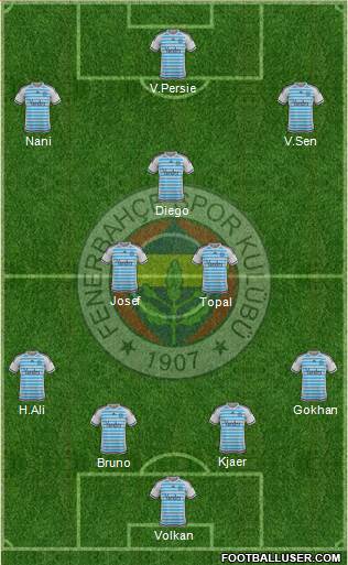 Fenerbahçe SK Formation 2015