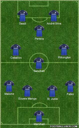 Cardiff City Formation 2015