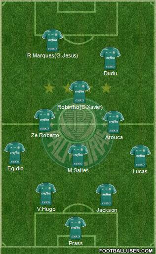 SE Palmeiras Formation 2015