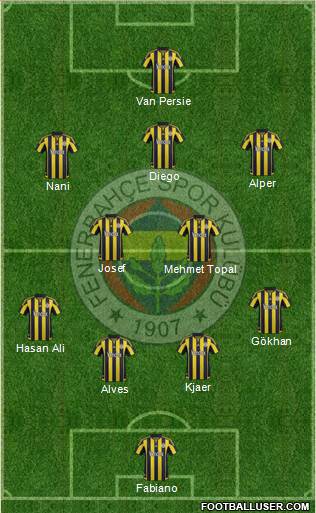 Fenerbahçe SK Formation 2015