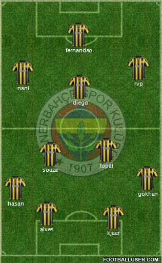 Fenerbahçe SK Formation 2015