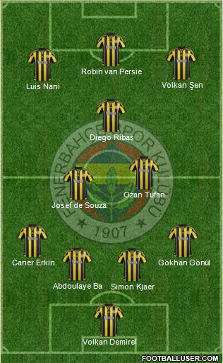 Fenerbahçe SK Formation 2015