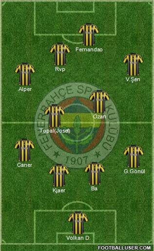 Fenerbahçe SK Formation 2015