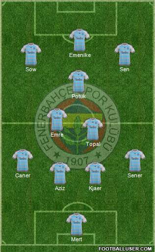 Fenerbahçe SK Formation 2015