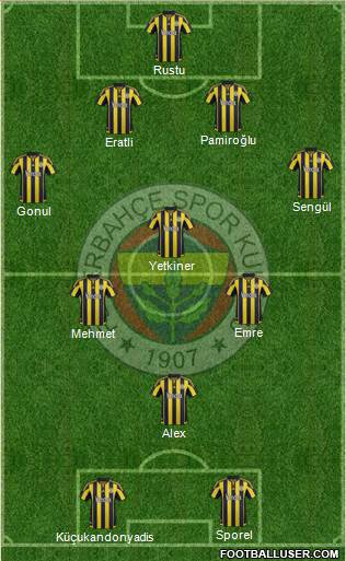 Fenerbahçe SK Formation 2015