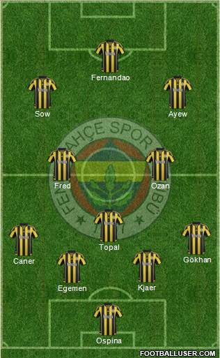 Fenerbahçe SK Formation 2015