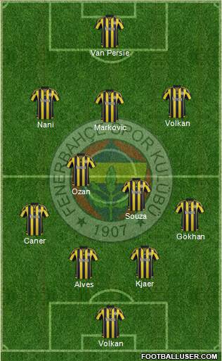 Fenerbahçe SK Formation 2015