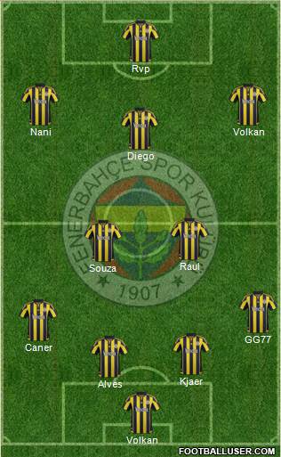 Fenerbahçe SK Formation 2015