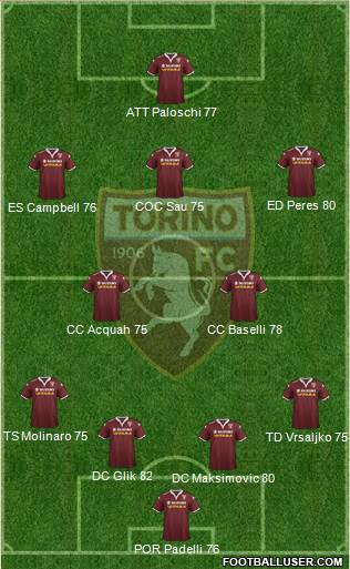 Torino Formation 2015