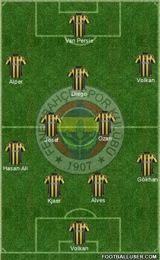 Fenerbahçe SK Formation 2015