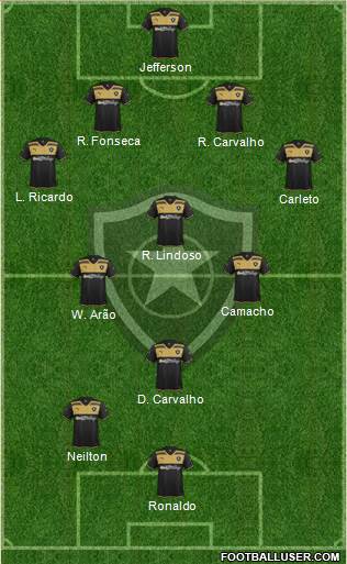 Botafogo FR Formation 2015