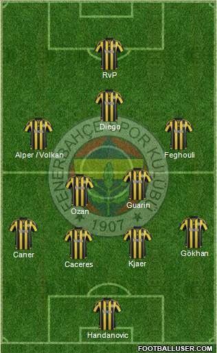 Fenerbahçe SK Formation 2015