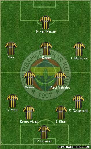 Fenerbahçe SK Formation 2015