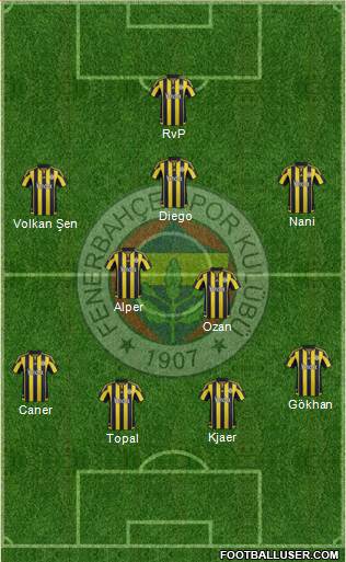 Fenerbahçe SK Formation 2015