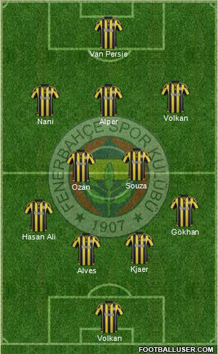 Fenerbahçe SK Formation 2015
