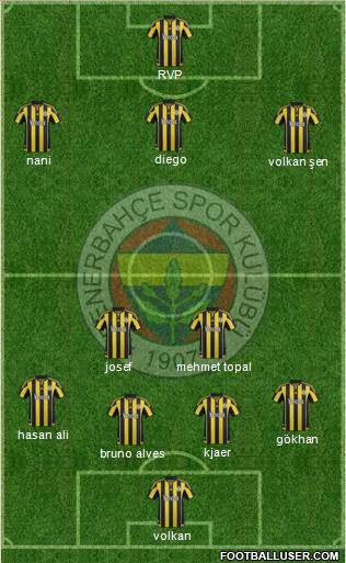 Fenerbahçe SK Formation 2015