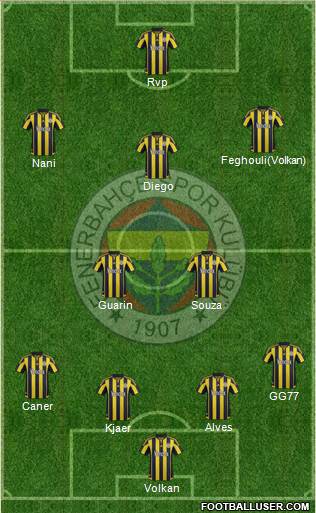 Fenerbahçe SK Formation 2015