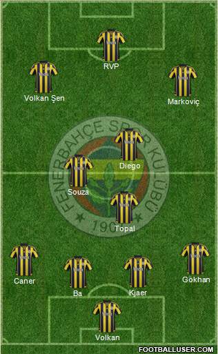Fenerbahçe SK Formation 2015