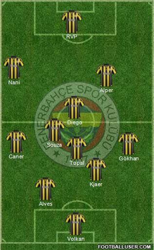 Fenerbahçe SK Formation 2015
