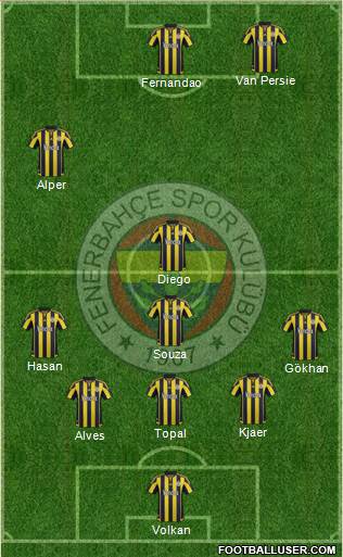 Fenerbahçe SK Formation 2015