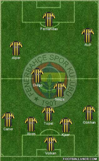 Fenerbahçe SK Formation 2015