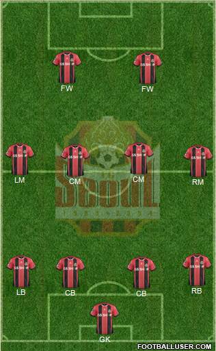 FC Seoul Formation 2015