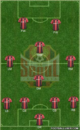 FC Seoul Formation 2015