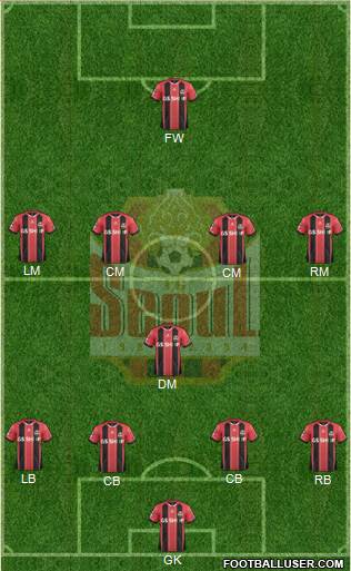 FC Seoul Formation 2015