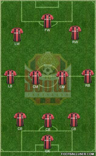 FC Seoul Formation 2015