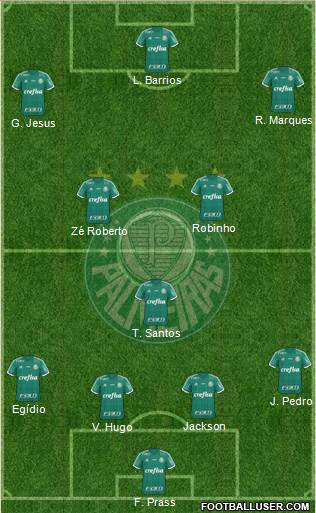 SE Palmeiras Formation 2015