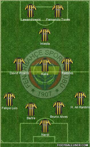 Fenerbahçe SK Formation 2015