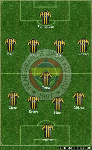 Fenerbahçe SK Formation 2015
