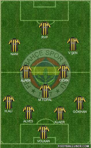 Fenerbahçe SK Formation 2015
