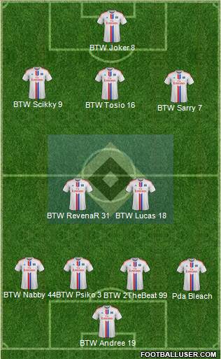 Hamburger SV Formation 2015