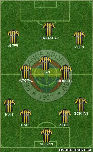 Fenerbahçe SK Formation 2015
