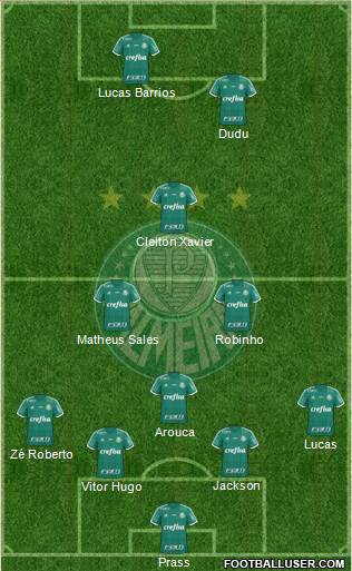 SE Palmeiras Formation 2015