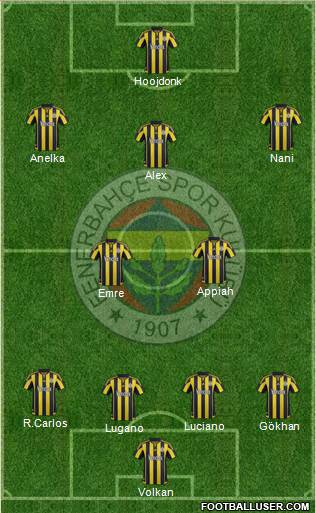 Fenerbahçe SK Formation 2015