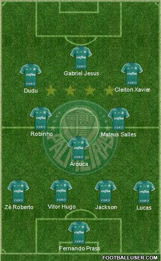 SE Palmeiras Formation 2015