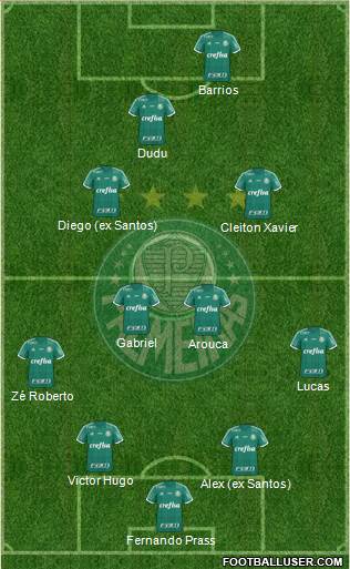 SE Palmeiras Formation 2015